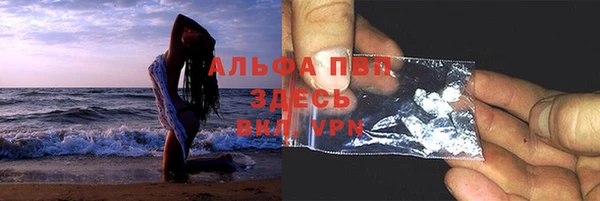 сатива Баксан