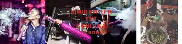 сатива Баксан