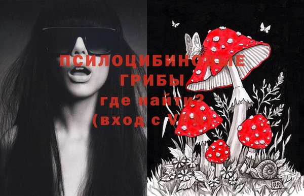 сатива Баксан